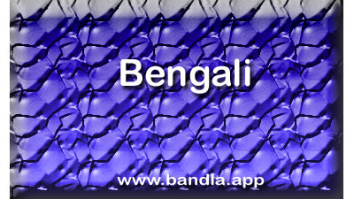 Bengali Language banner