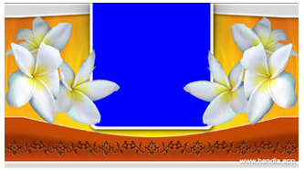 Bandla App Website Image