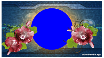 Bandla App Website Image