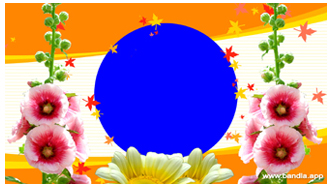 Bandla App Website Image