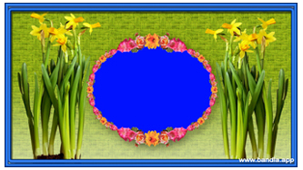 Bandla App Website Image