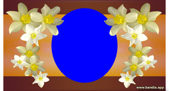 Bandla App Website Image