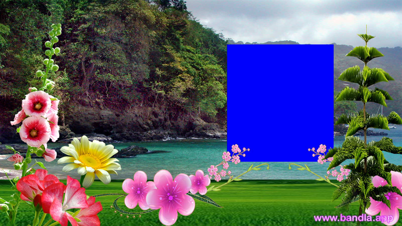 Bandla App Website Image