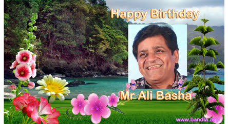 Bandla App Website Image