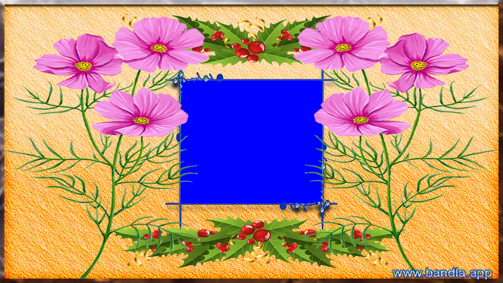 Bandla App Website Image