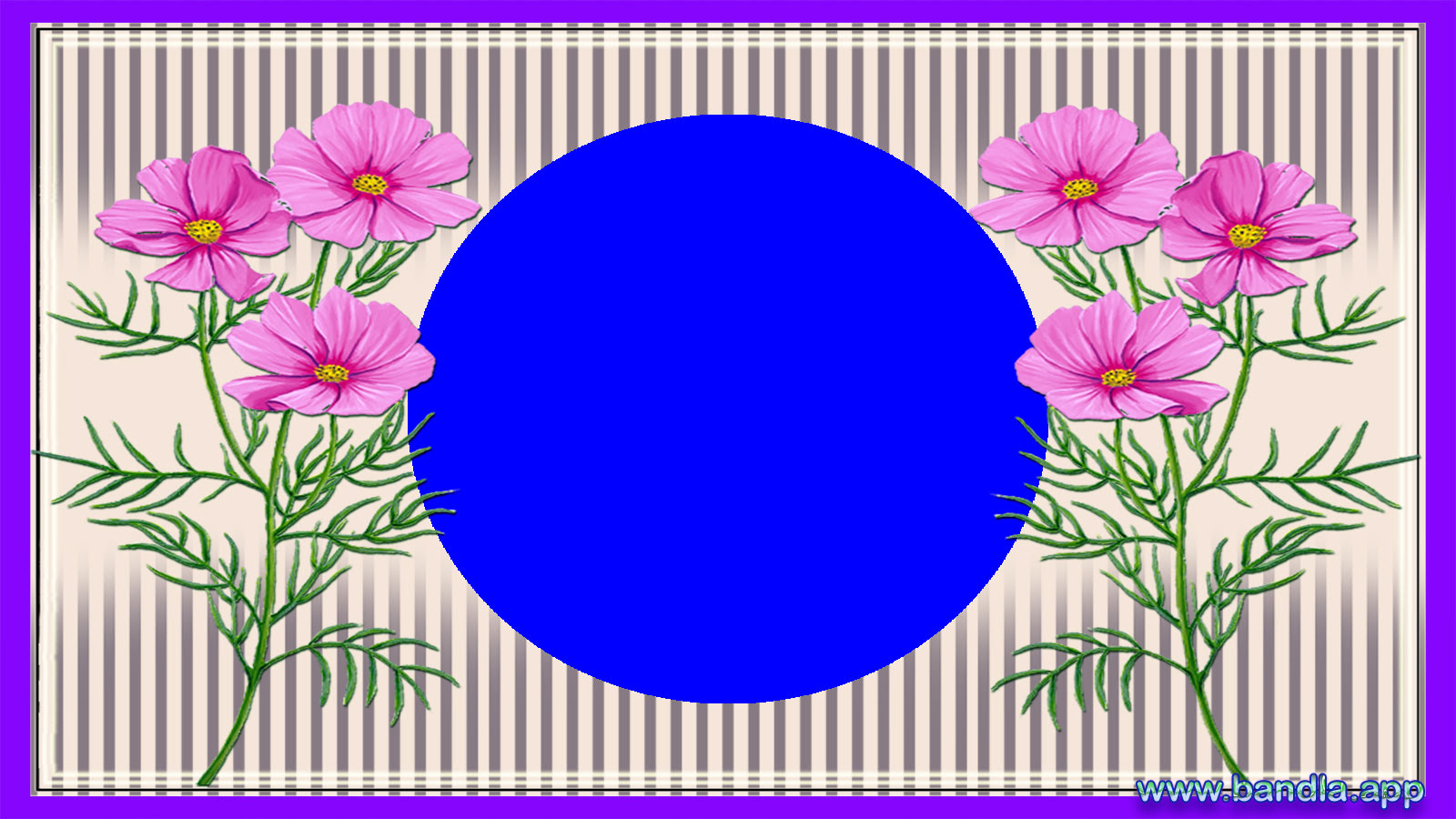 Bandla App Website Image