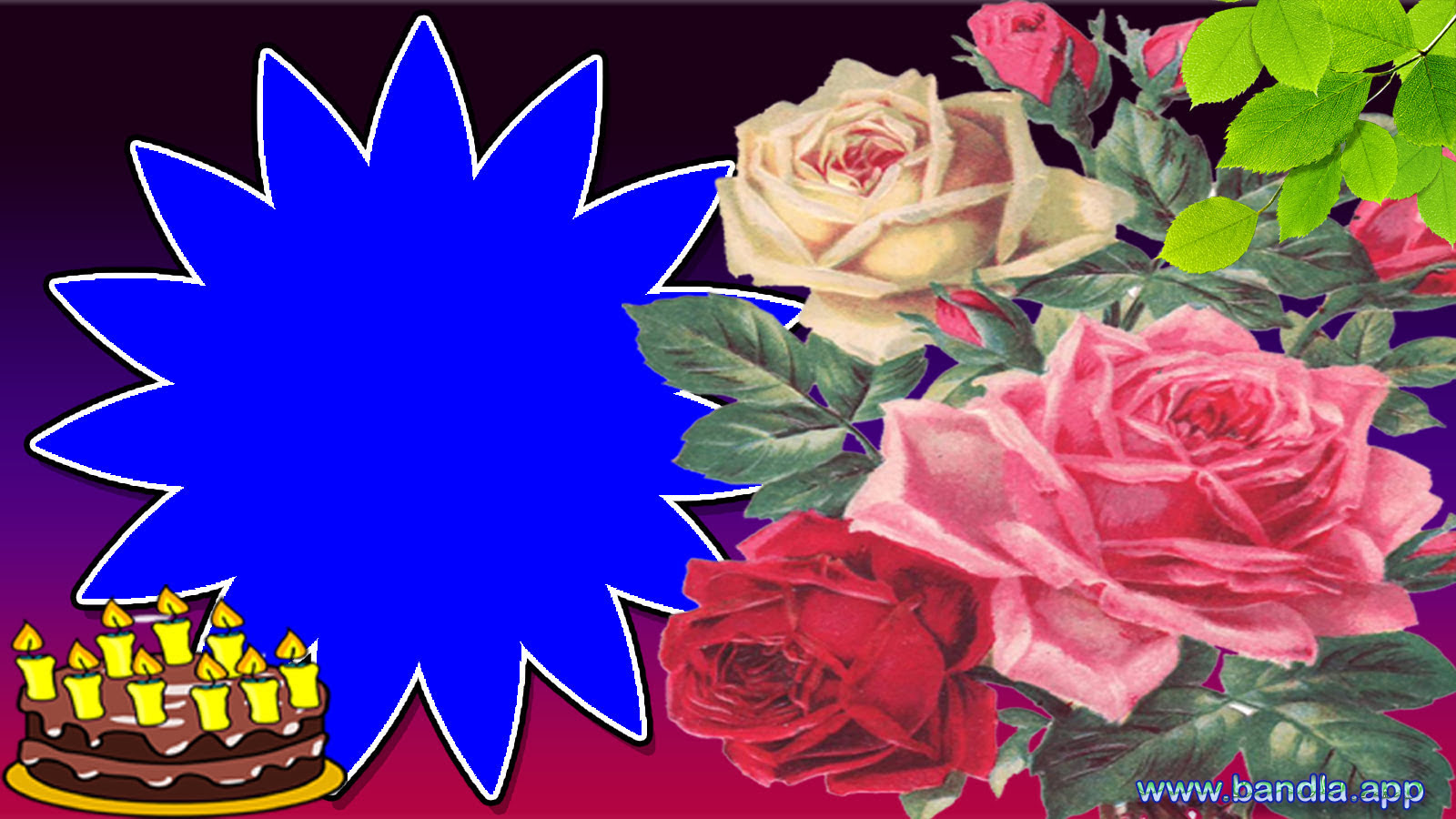 Bandla App Website Image