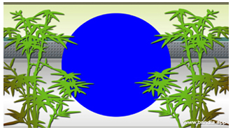 Bandla App Website Image