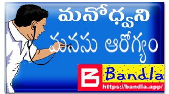 Bandla App Website Image