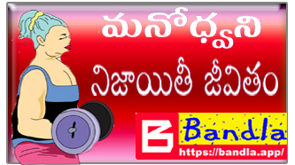 Bandla App Website Image