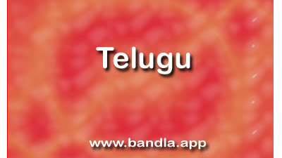 Bandla App image