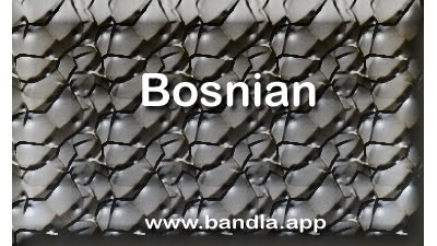 Bosnian Language banner